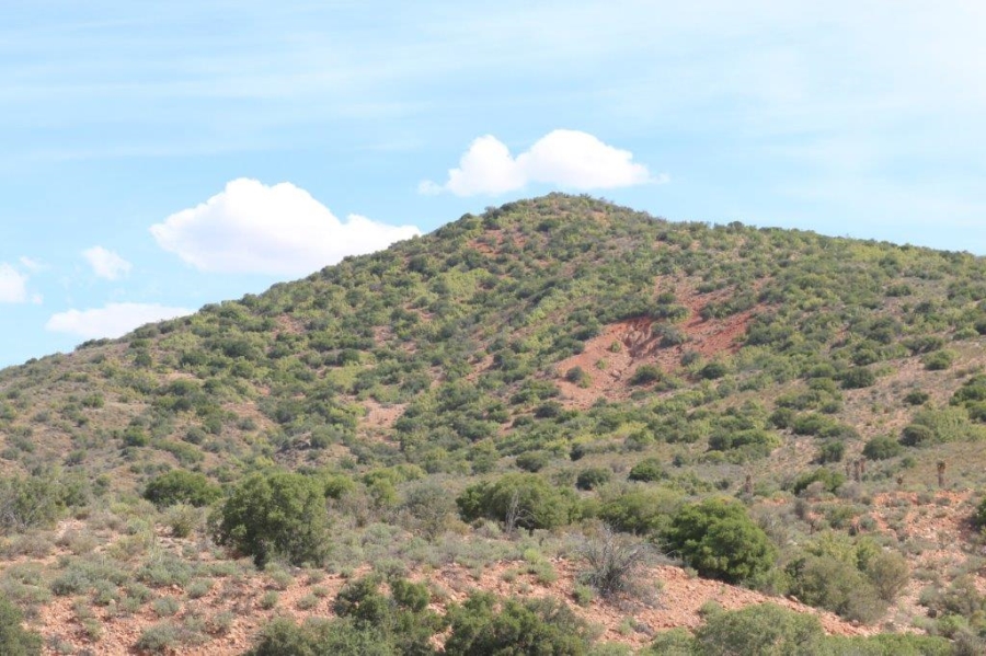 Commercial Property for Sale in Oudtshoorn Rural Western Cape